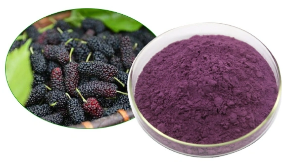 mulberry fruit extract.webp